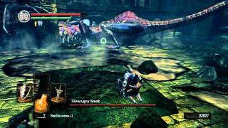 DARK SOULS GIANT VAGINA