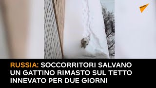 Russia: soccorritori salvano un gattino rimasto sul tetto innevato per due giorni