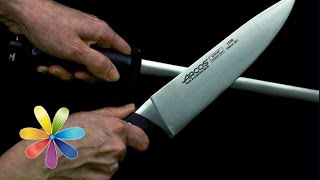 Как наточить ножи? - Все буде добре - Выпуск 485 - 27.10.2014 - Все будет хорошо