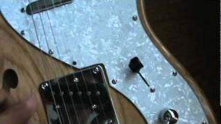 SX Telecaster Thinline