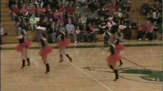 Officer Novelty Dance 2010