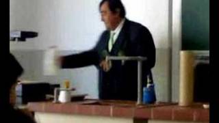 avusturya lisesi webber