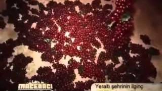 Kayseri-Talas (Yeraltı Şehri)
