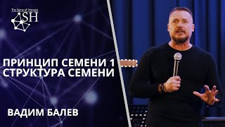 Принцип семени 1. Структура Семени. Вадим Балев. Киев 11.1.2020