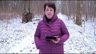 1594. Хлеб на каждый день. И сказал им царь.