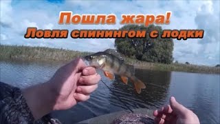 "Пошла жара!" - ловля окуня и щуки спиннингом с лодки на пруду