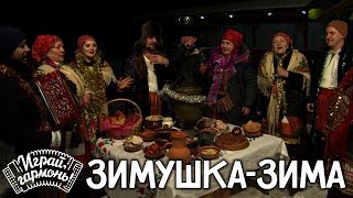 Играй, гармонь! | Ансамбль «Хохольские родники» (Воронежская область) | Зимушка-зима