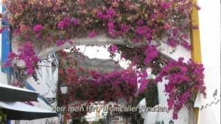 Warum sollt ich mich denn grämen? (Paul Gerhardt)