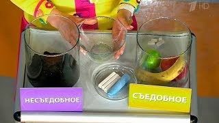 Что заставляет есть несъедобные вещи. Жить здорово! (14.03.2016)