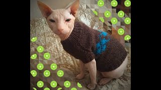 Свитер для кота спицами. Подробный МК. Часть 1.