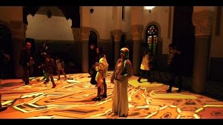 Miguel CHEVALIER Digital Arabesques 2015 Fès (short version)