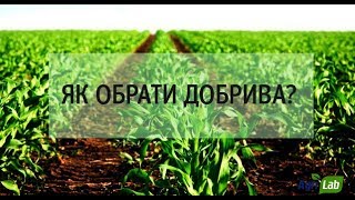 Які добрива обрати при посіві соняшника та кукурудзи