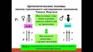 Биология. 9 класс. Сцепленное наследование генов и кроссинговер. Людмила Ивановна. Profi-Teacher.ru