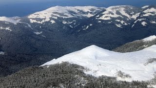 Релакс для новогоднего застолья Happy new year relax