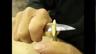 Webinar: Apple Grafting
