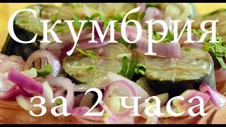 Малосольная маринованная скумбрия за 2 часа