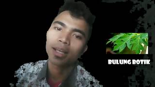umpasa batak - tantangan dari pacar untuk buat umpasa batak