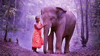 Spiritual Positive Energy | 528Hz Love Frequency Music | Self Healing Vibration | Ancient Frequency