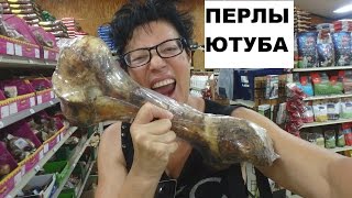 ХЕЙТЕРЫ Ютуба - Я из Украины Развод КИРКОРОВА FloridaYalta 01.07.2015