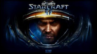 Starcraft II on AMD FX4100 & R7 370 2GB