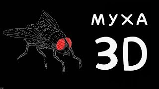 МУХА 3D