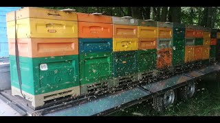 Ворота откатные, на пасеку. Анонс Кочевки на липу