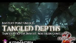 ★ Guild Wars 2 ★ - Tangled Depths Insight: Northern Confluence