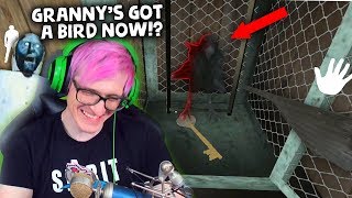 MEET GRANNY'S NEW PET BIRD | Granny 1.7 Update