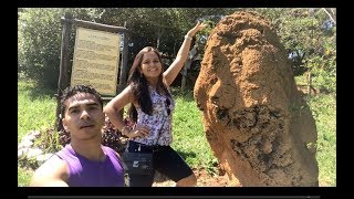 Passeio pelo Sitio Quinta do Cedro em São Lourenço - MG