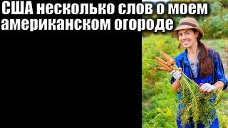 USA КИНО 1332. Что происходит на нашем огороде в Мичигане?