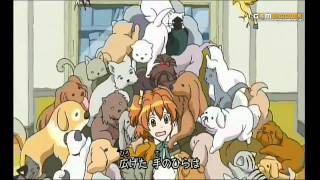 フレッシュプリキュアOP