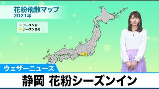 静岡県が全国で今年初めて「スギ花粉シーズン」に突入