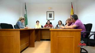 Pleno 29 Abril 2015 parte 1