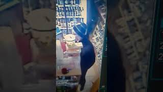Кража телефона ( Днепр)