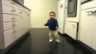 Sagan Walking at 14 Months