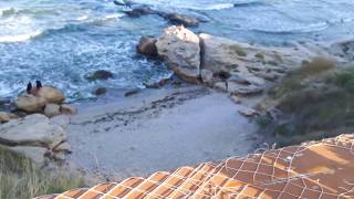 Ravda Vilage Bulgaria- Dinner at the beach