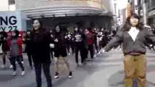 100227 TVXQ Cassiopeia flash mob in korea