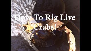 HOW TO RIG CRABS!