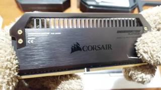 CORSAIR DOMINATOR PLATINUM SPECIAL EDITION BLACK OUT DDR4