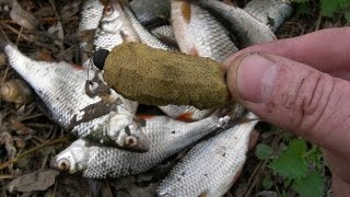Ловля на ЖИДКУЮ прикормку / FISHING
