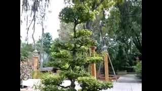 Hướng dẫn chụp ảnh phong cảnh và macro