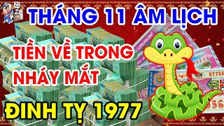 Tu Vi Thang 11 ÂL Tuổi Đinh Tỵ 1977 Nổ Lộc Trúng Số Độc Đắc 100 Tỷ Tiền Về Giàu To | TỬ VI TÀI LỘC
