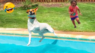 Best Funny Animal Videos 2022 - Funniest And Cute Dogs And Cats Videos ????