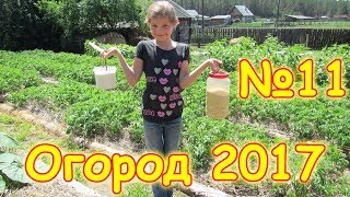 Огород 2017г. - удобряем, борьба с муравьями, подвязываем, сажаем. (07.17г.) Семья Бровченко.