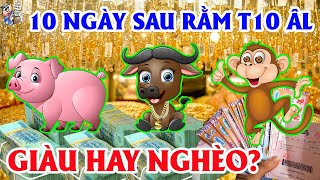 LỜI TIÊN TRI CHUẨN, 3 Tuổi Này Vận May Kéo Đến Trúng Lớn Liên Tiếp Giàu Có Ra Sao | TỬ VI TÀI LỘC