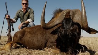 Doug Giles Hammers a Black Wildebeest with a .375H&H Magnum