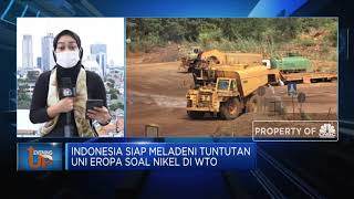 RI Duel Dengan Uni Eropa Soal Nikel