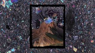 Cactus Erectus - Lofi Corps