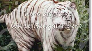 Top 10 Most Dangerous Animals In Asia