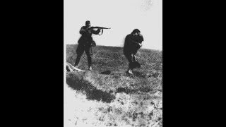 Кому нужна память о Холокосте?